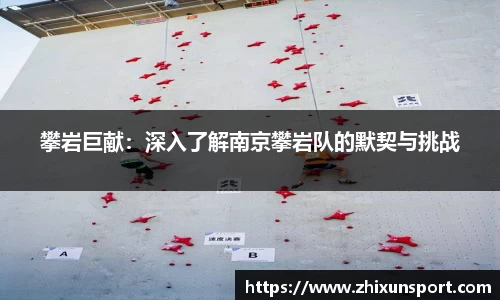 攀岩巨献：深入了解南京攀岩队的默契与挑战