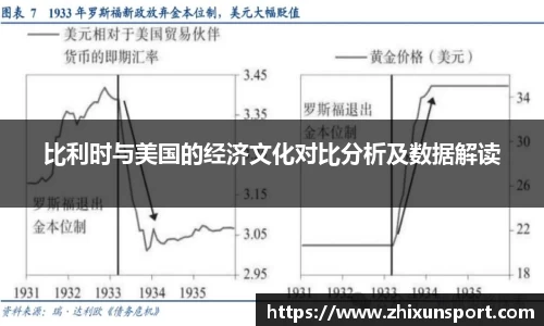 比利时与美国的经济文化对比分析及数据解读